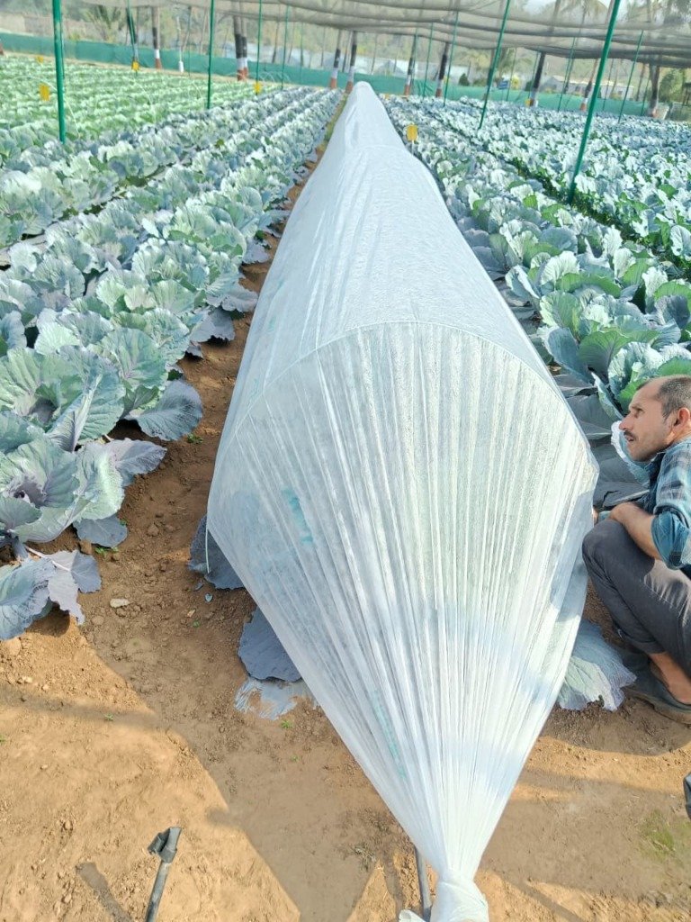 Ground tunnel crop cover close-up