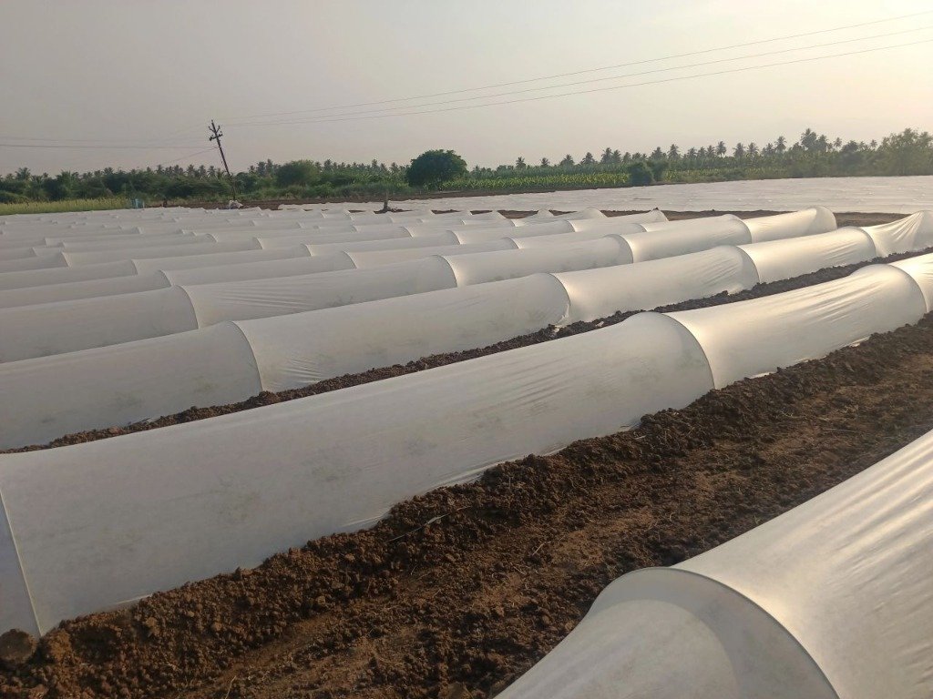 GroKhet Crop Cover installed over vegetable crops